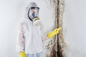 Best Industrial Mold Remediation  in Long Beach, MD